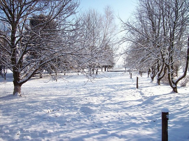 Станица во всей красе