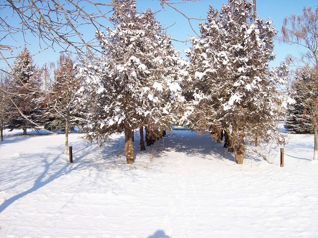 Станица во всей красе